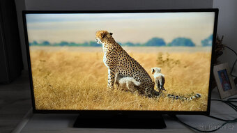 Smart tv JVC 108cm WIFI ONEPLAY, NETFLIX, Youtube - 5