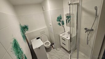 Ihned volná zařízená garsoniéra 26m2 po rekonstrukci, Brno K - 5