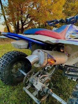 Yamaha raptor 250 - 5