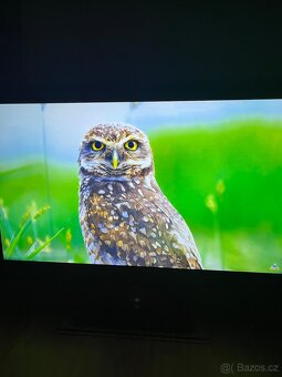 Televize Sharp 40” - 5