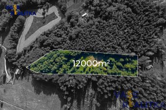 Prodej, pozemek pro výstavbu chalupy, Krásná pod Lysou Horou - 5