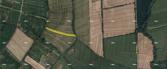 Boršice u Buchlovic (8 735 m2) - 5