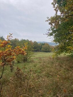 Pronájem pozemku v Semici u písku - 5