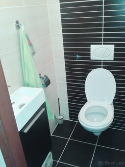 Rodinný dům / Bývalá hospodářská usedlost -1500 m2 - 5