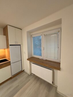 Pronájem bytu po rekonstrukci - 5