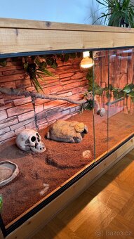 Terárium pro plazy/Terrarium for Reptiles - 5