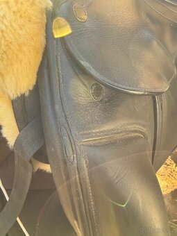 Drezurní Equiline - 5