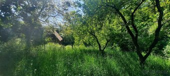 Prodej chaty, 58 m2, k.ú. Bílovice nad Svitavou - 5