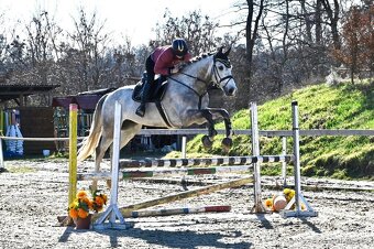 Valach do sportu po Casago - 5