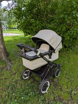 Buffalo Bugaboo - 5