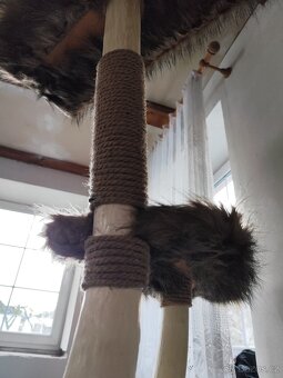 Kočičí strom/škrabadlo - 5