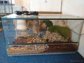 prodám mláďata želv + kompletní terárium - 5