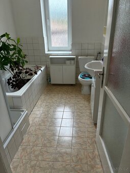 Pronájem bytu 2+1, 60 m2, Veselí nad Lužnicí - 5