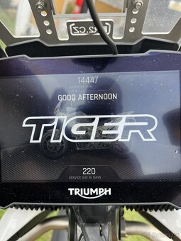 Triumph Tiger 900 Rally Pro - 5