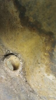 Disk Tatra 11, falc - 5