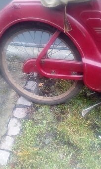 Jaweta s dokladem. - 5