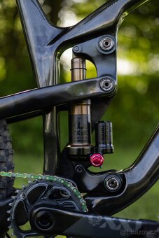 Propain Tyee CF 2022 29 - 5