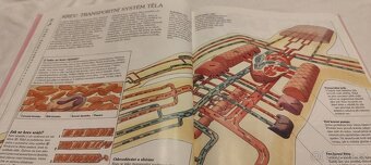 Lidské tělo - kniha pro mládež o fungování lidského těla - 5