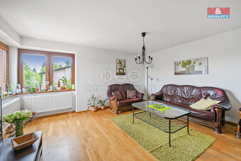 Prodej rodinného domu, 370 m², Borová - 5