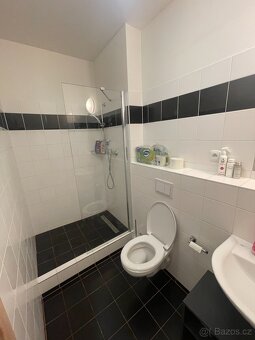 Apartman 1+kk Praha 5 - 5