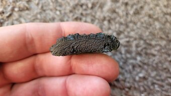 Krasny vltavin Chlum 13,6g - 5