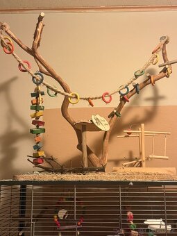 Klec pro papoušky - 5