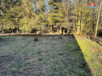 Prodej pozemku k bydlení, 1395 m², Mostek, Dolní Hrachovice - 5