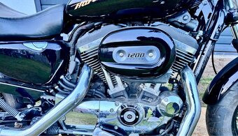 Harley-Davidson Sportster 1200 - 5