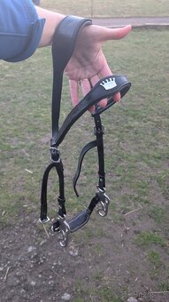 Hackamore uzdečka - 5