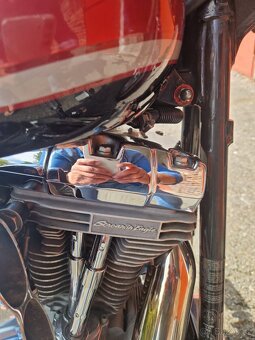 Harley Davidson Softail standard 1450 - 5