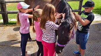 Krásná Grullo Klisna - 5