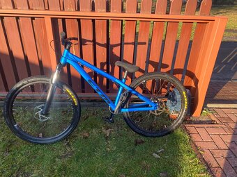 CTM dirtking - 5