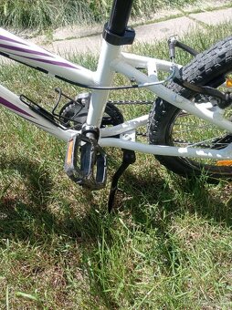 Kolo Specialized Hotrock 20 (1x6 převodů)
- 5