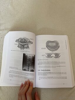 Anatomie a fyziologie lidského těla pro humanitní obory - 5