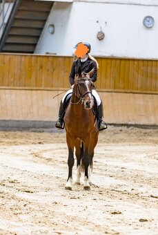 3letý hř. po HEARTVIT ZH / KANNAN,po výkonnostních zkouškách - 5