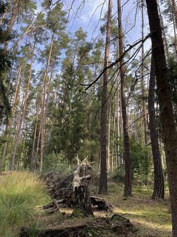 Prodám pozemky v k.ú. Drahov - 5