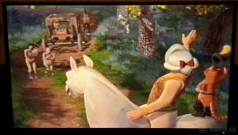 PANASONIC NV-SD420EU - 5