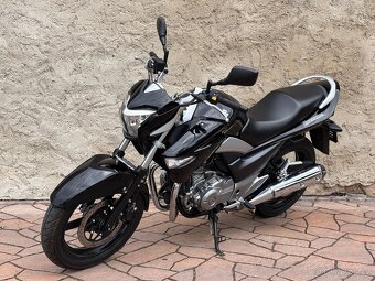Suzuki GW 250 Inazuma 2014, najeto 6000km - 5