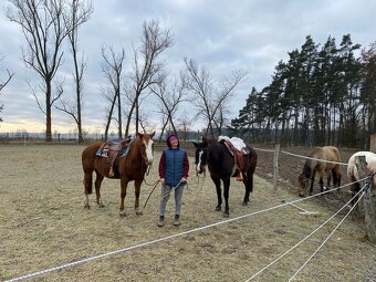 venkovní trekové ustájení - PADDOCK PARADISE - 5