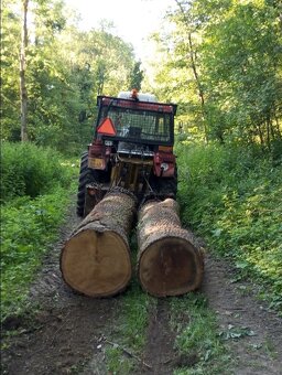 Zetor 7745 + vybyžečka - 5