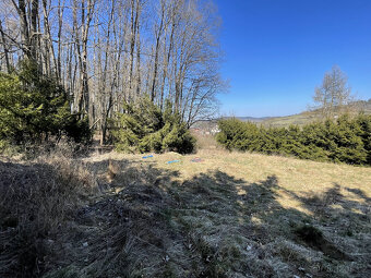 Prodej pozemku 650 m2 k výstavbě chaty v Sušici - 5