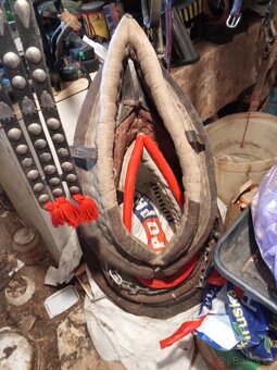 Prodám koňské potřeby - 5