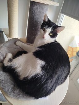 🐾Nudlička🐾 - 5