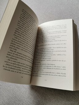 Divoká říše - Stacey Marie Brown - 5