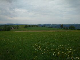 Zemědělské pozemky 6 hektarů louka Jilemnice Krkonoše - 5