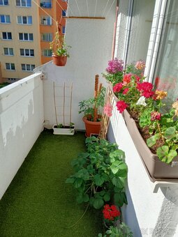 Prodej prostorného bytu 3+1 s balkonem – Havířov – Šumbark, - 5