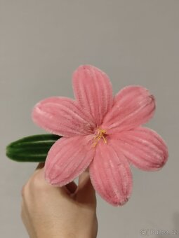 Lilie z chlupatých drátků - 5