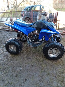 Shineray STXE 250 - 5