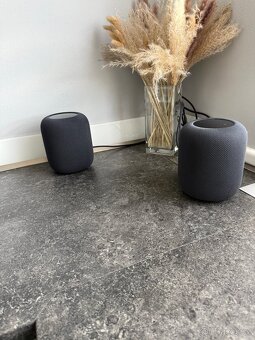 APPLE HOMEPOD 2 GEN. - 5