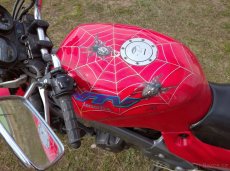 HONDA NTV REVERE 650 43kW BEZ DOKLADŮ - 5